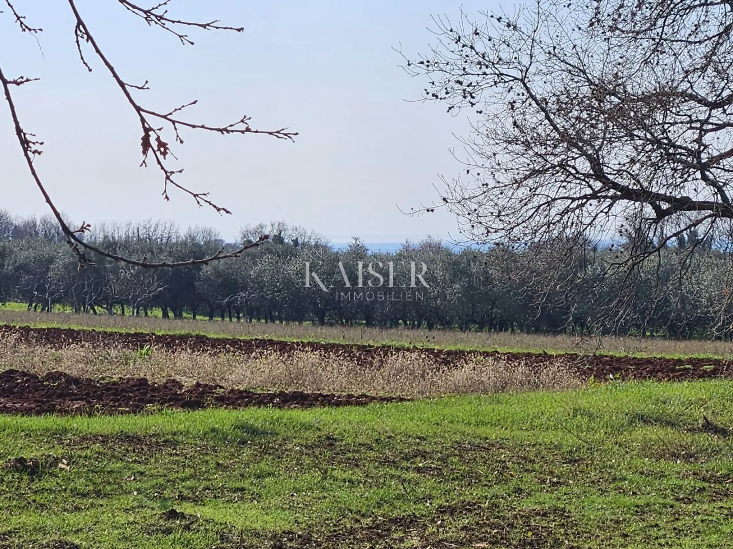 istra, novigrad - građevinsko zemljište; 650m2 za dvije stambene jedinice - slika 3