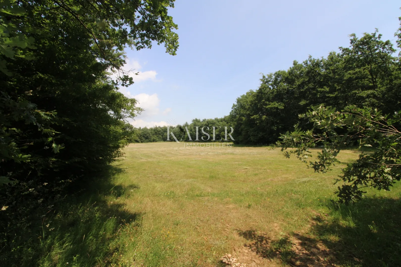 Istra, Labin- poljoprivredno zemljište 13.700m2 s šumom