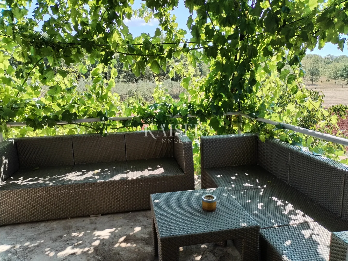 istra, umag, kuća 420m2, sa zemljištem 40.000m2 - slika 13