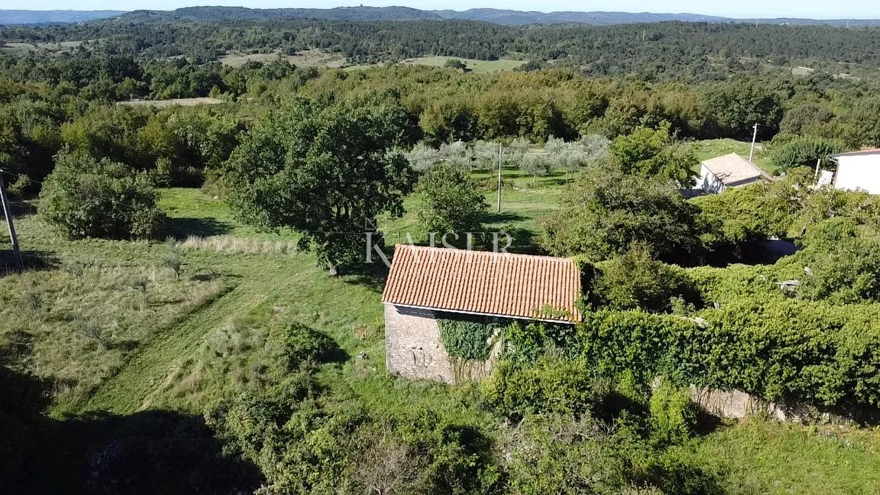 istra, oprtalj - građevinsko zemljište 4500 m2 s dvije kamene kuće - slika 10