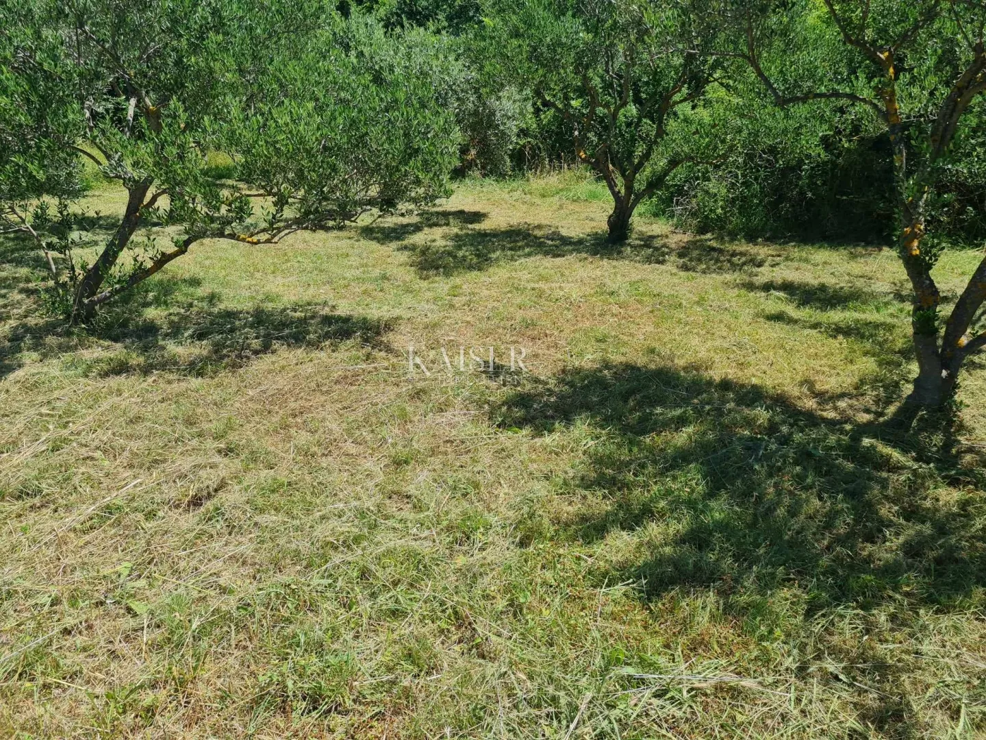 zadar-posedarje, atraktivno građevinsko zemljište - slika 5