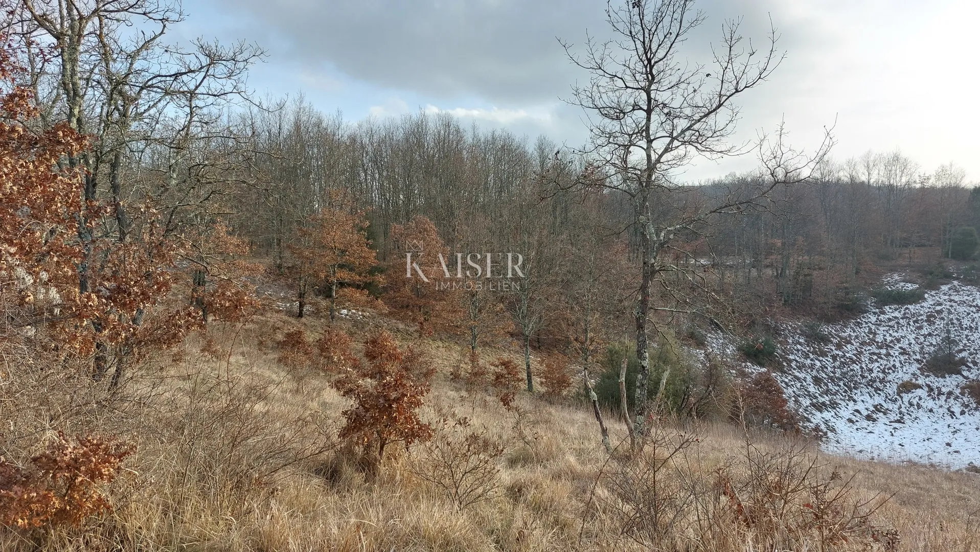 istra, pazin - zemljište za gradnju 54000m2 - slika 4