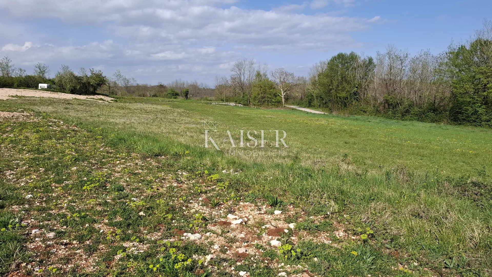 Istra, Pazin - građevinsko zemljište, 7.400m2, 9 građevinskih čestica
