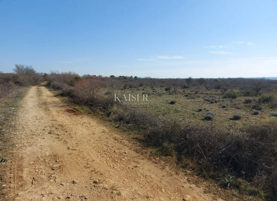 zadar, smoković,-građevinsko zemljište 12000m2 - slika 4
