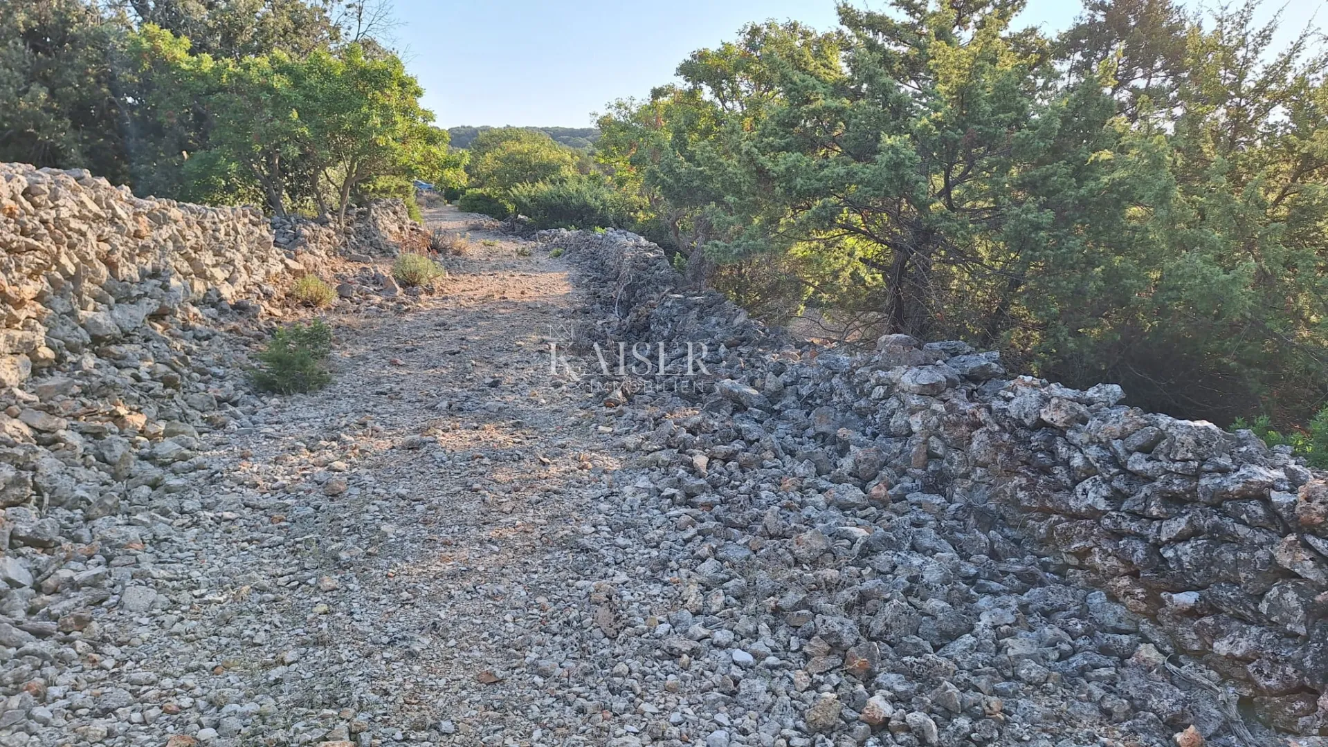 cres, osor – zemljište 7.000 m2 uz more s ruševinom - slika 4