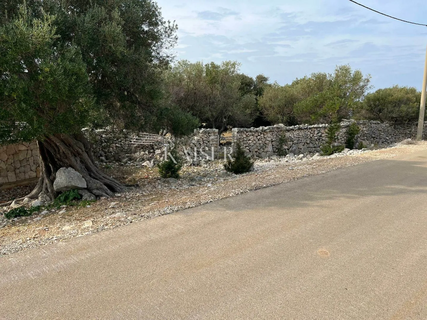 otok pag, lun - jedinstveno građevinsko zemljište sa maslinikom - slika 7