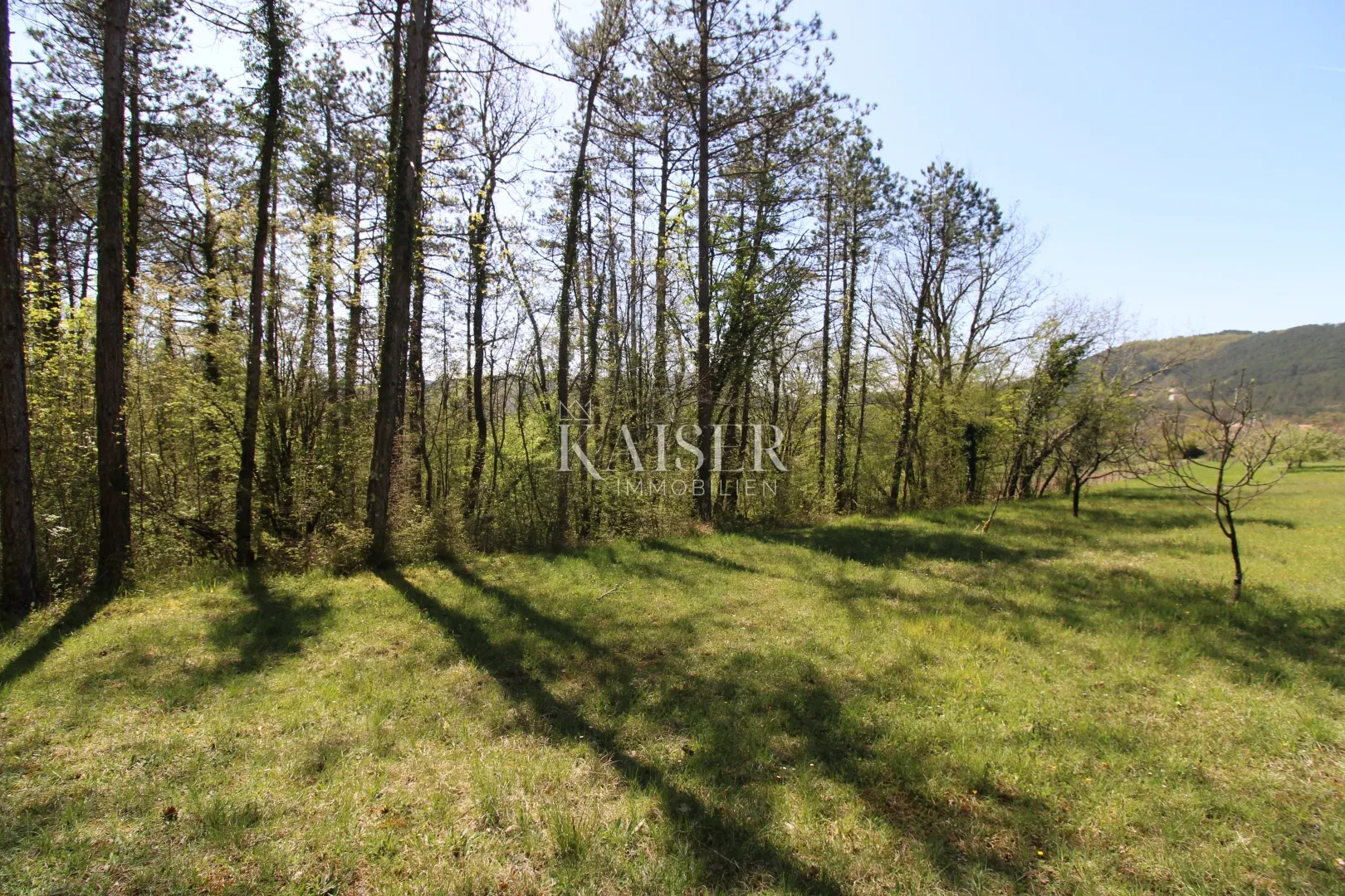 istra - buzet, kuća sa imanjem na 20000 m2 - slika 41