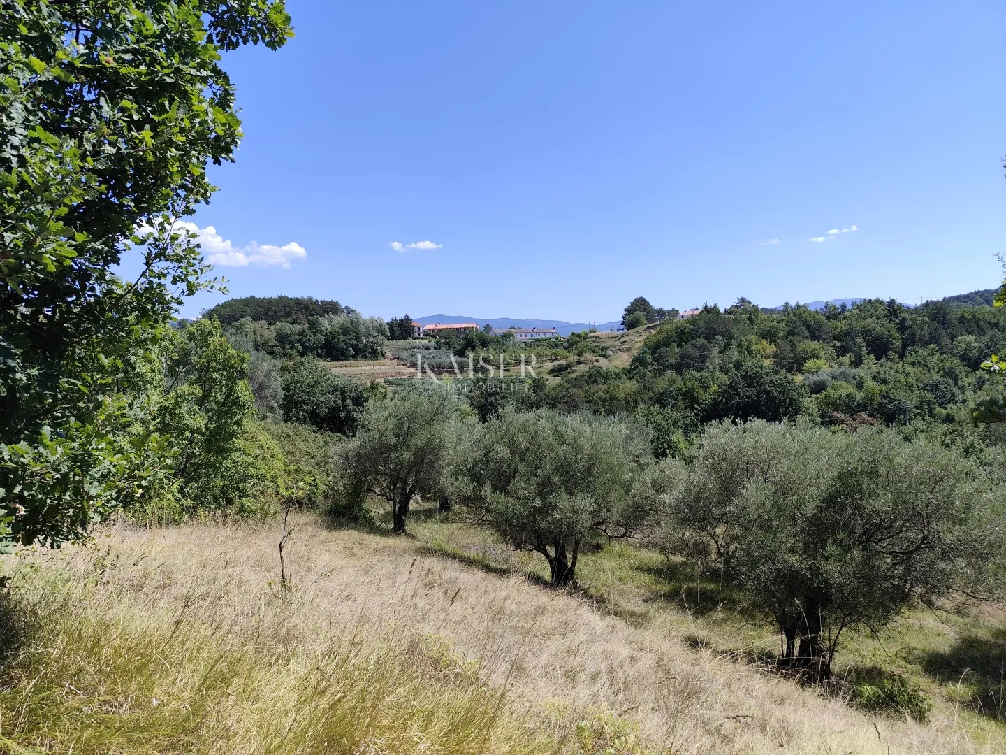 istra, buzet- imanje u centralnoj istri - slika 8