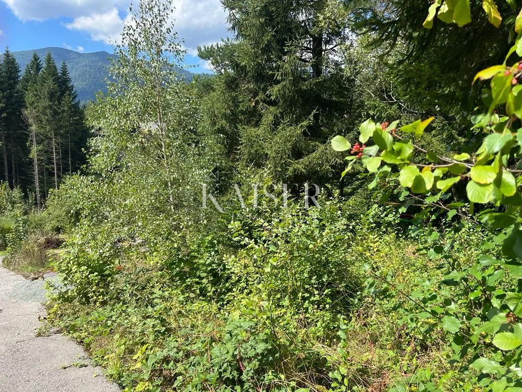 Gorski kotar, Crni Lug, građevinsko zemljište 1934m2 - Crni Lug, Delnice