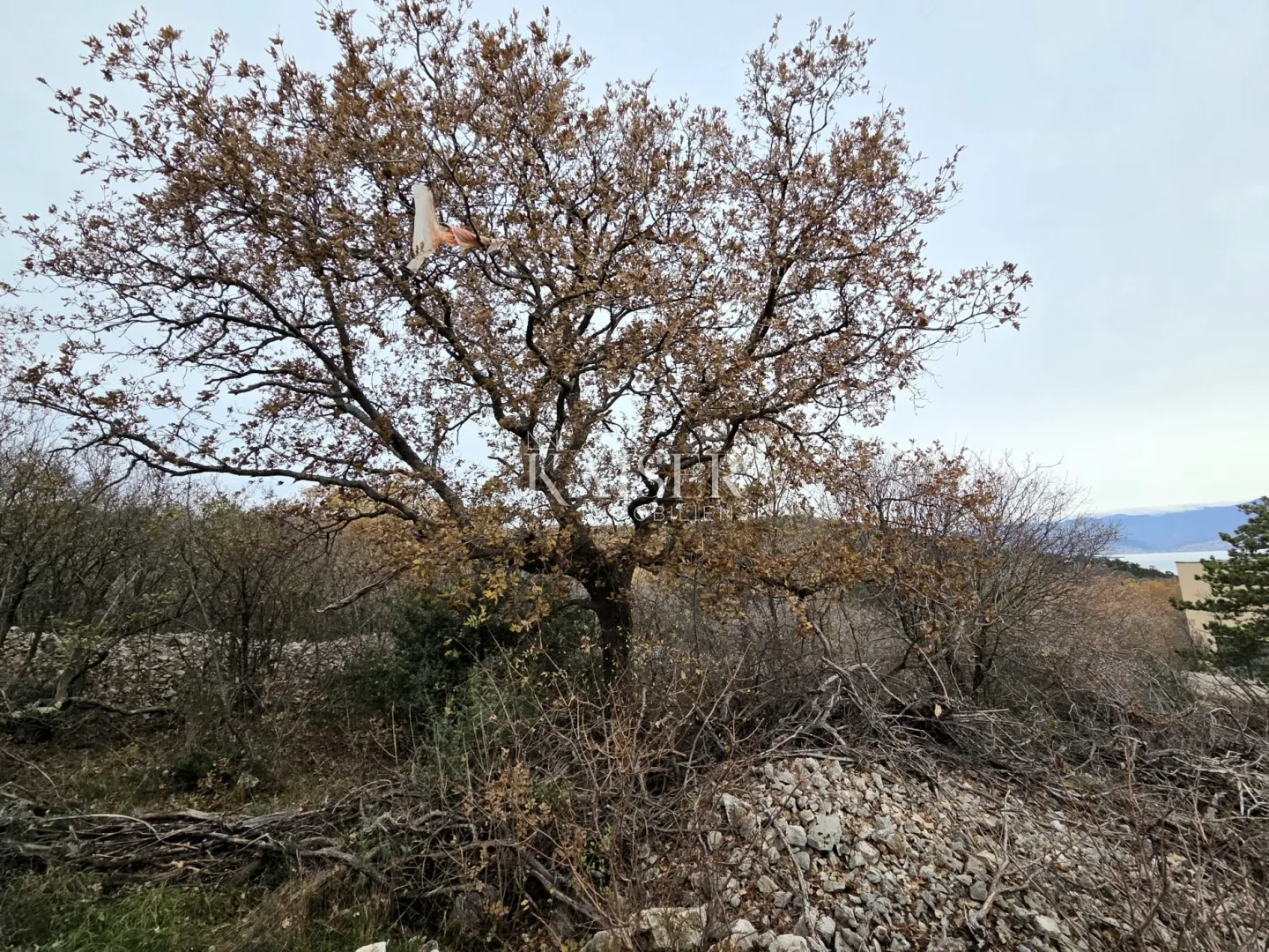 krk, vrbnik - građevinsko zemljište 2700m2, pogled more - slika 2