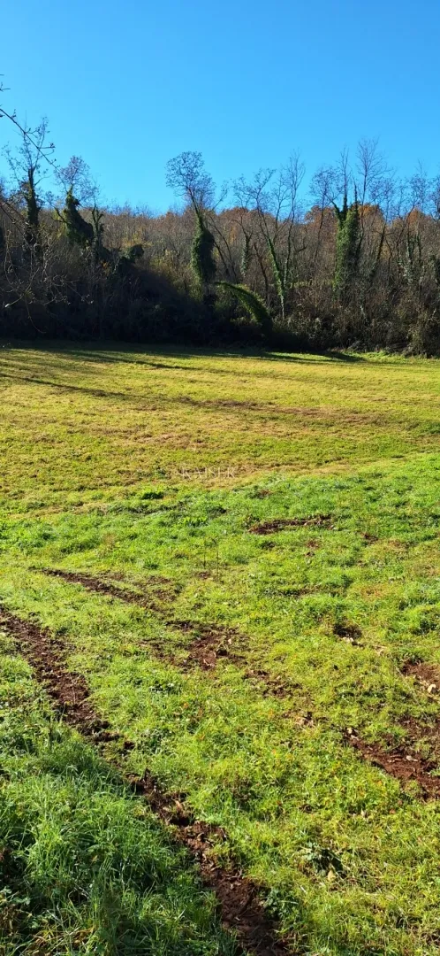 istra- višnjan, poljoprivredno zemljište 4 hektara - slika 7