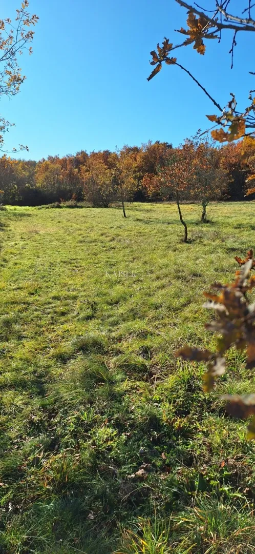 istra- višnjan, poljoprivredno zemljište 4 hektara - slika 9