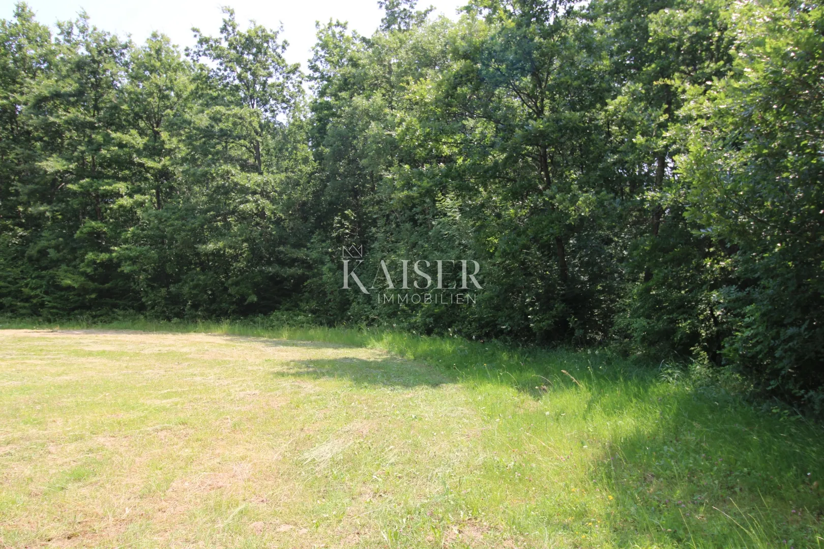istra, labin- poljoprivredno zemljište 13.700m2 s šumom - slika 7
