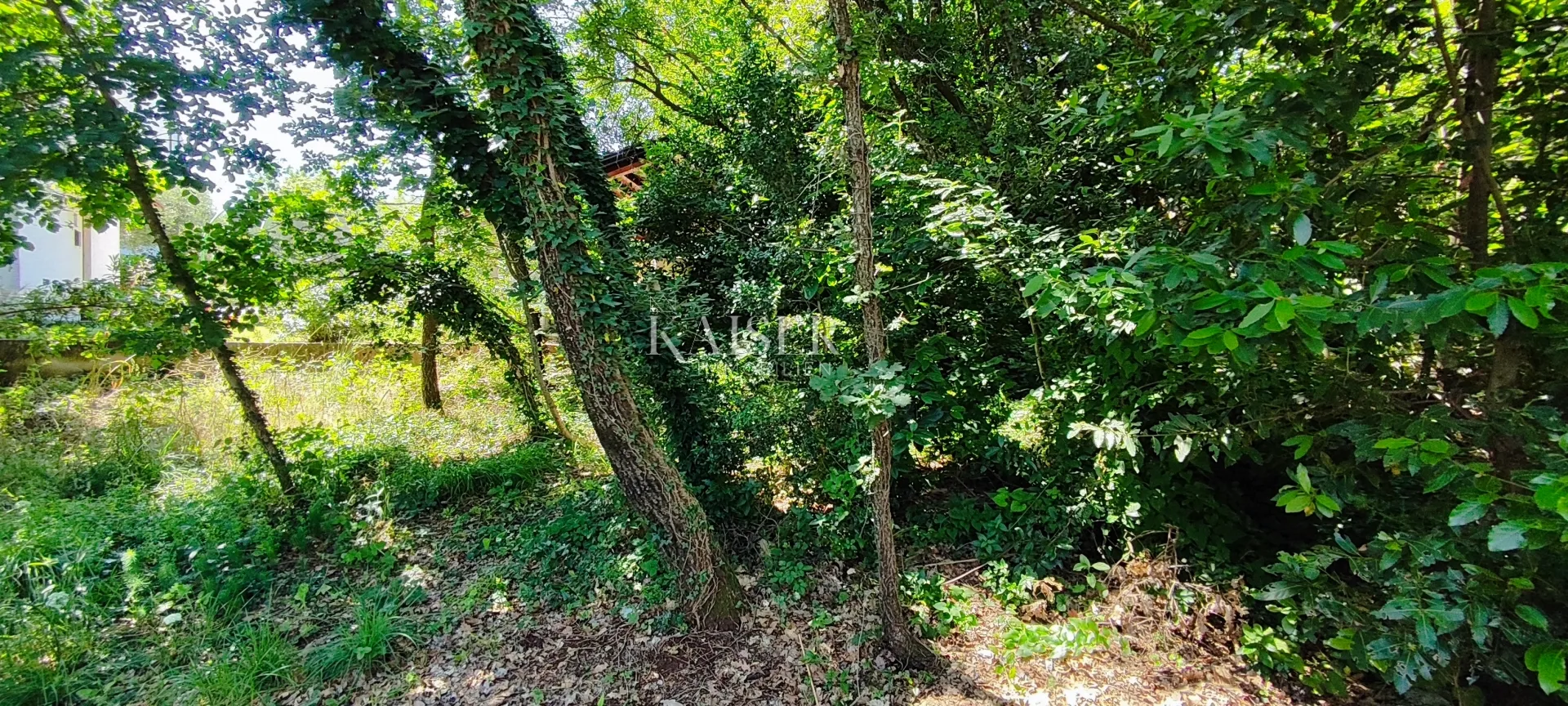 drenje - građevinsko zemljište okruženo zelenilom, 900 m2 - slika 3