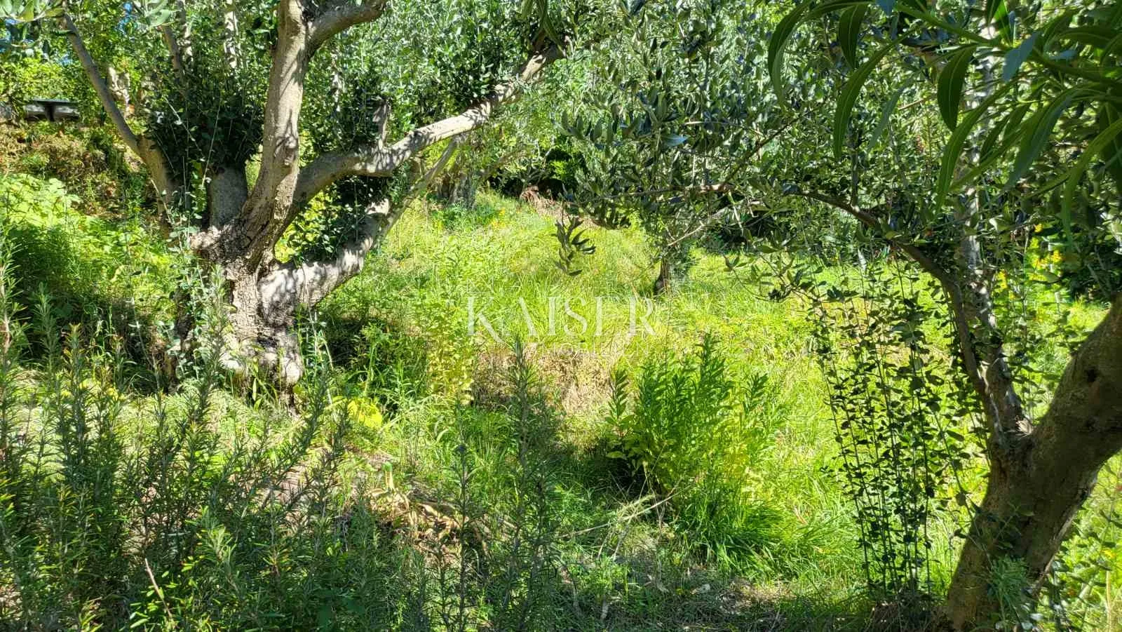 zadar – rtina 937 m2 prvi red do mora - slika 14