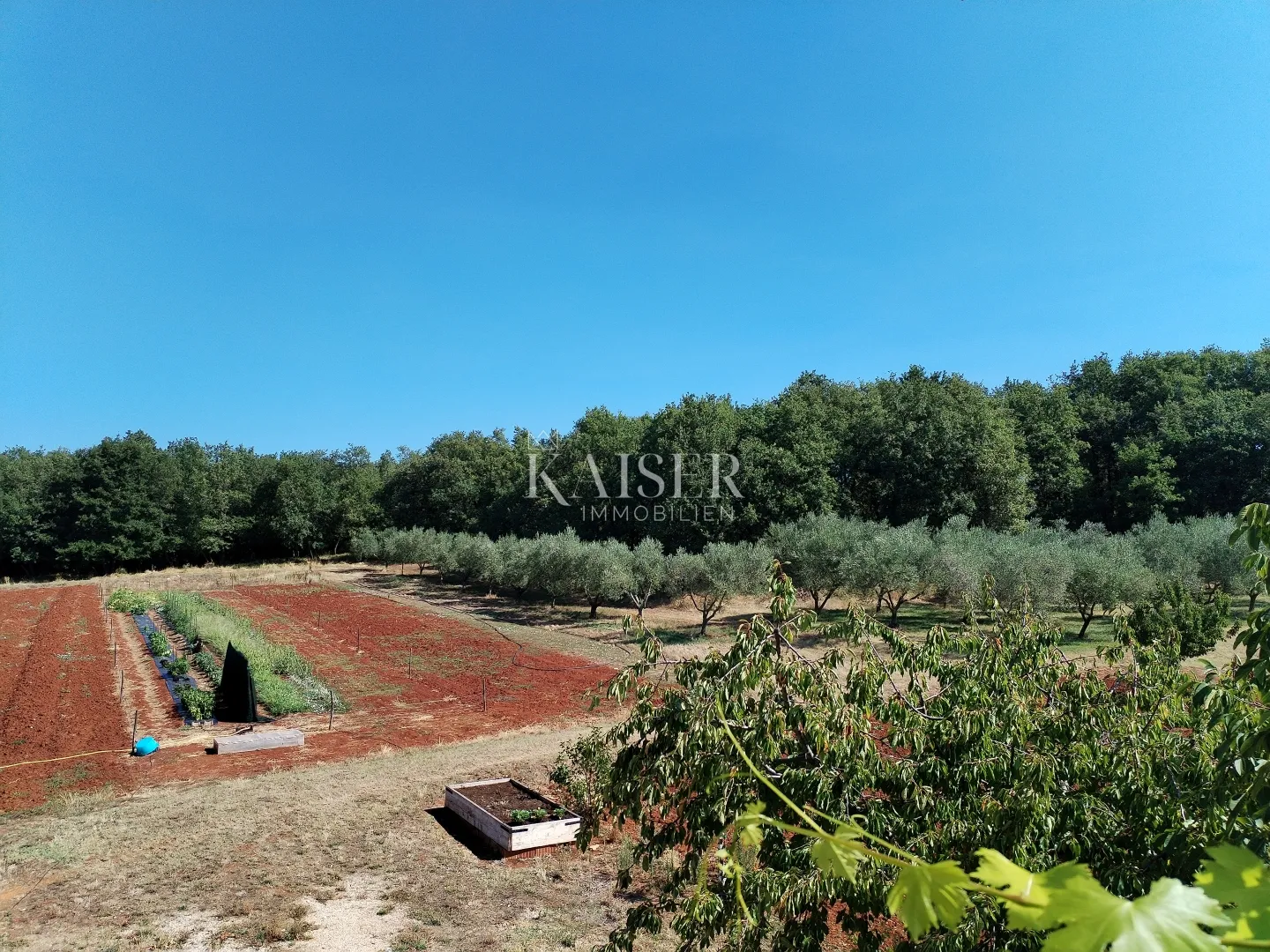 istra, umag, kuća 420m2, sa zemljištem 40.000m2 - slika 5