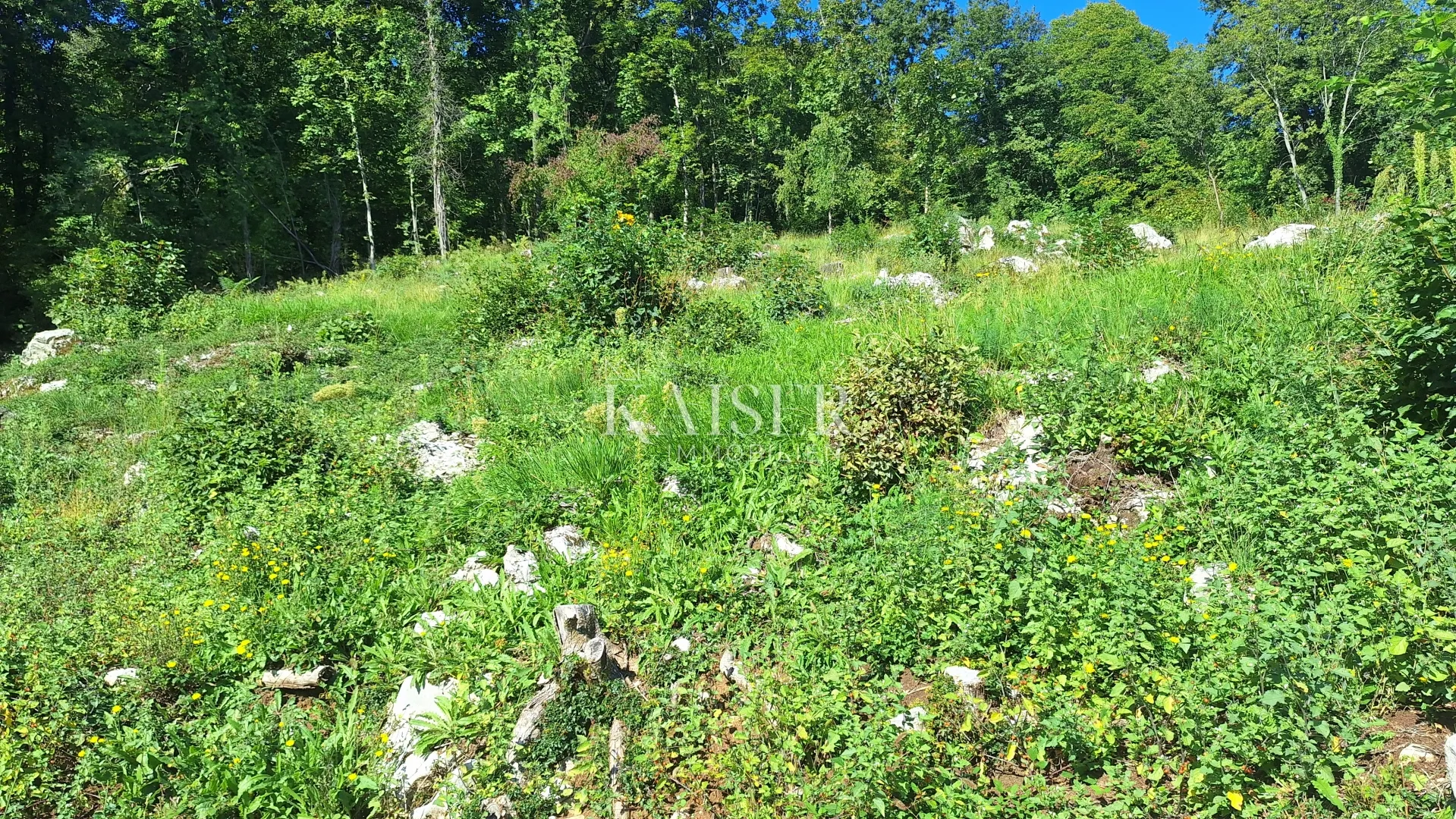 matulji, rukavac,2500 m2 građevinskog zemljišta s pogledom na more - slika 4