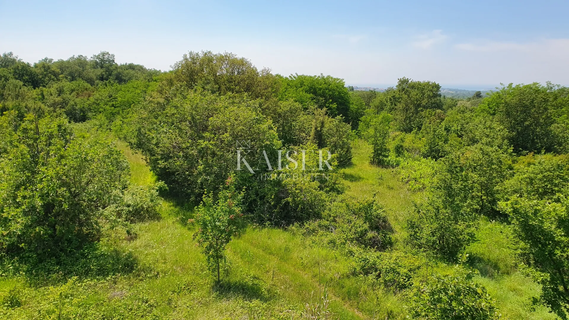 istra - kaštelir, poljoprivredno zemljište, šuma 8740 m2 - slika 6