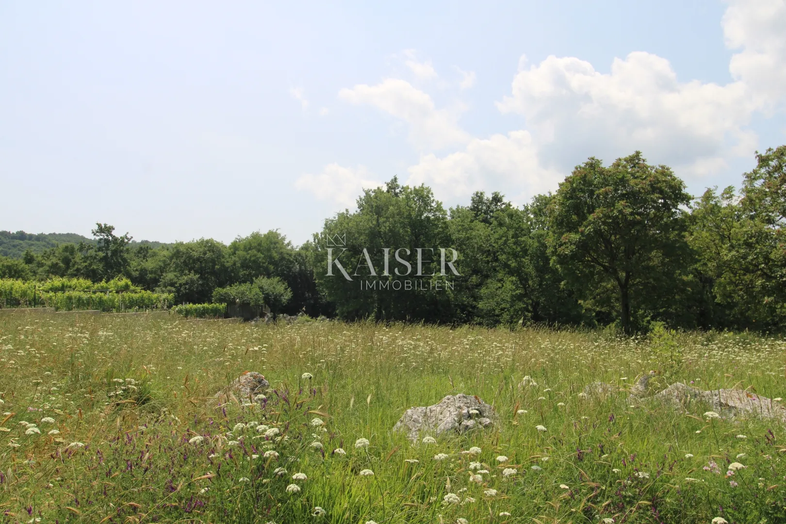 istra, labin- poljoprivreno zemljište 11.200m2 pored građevinske zone - slika 5