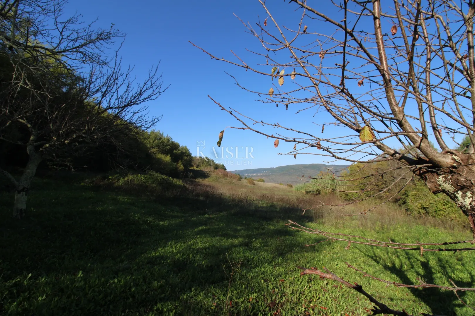 istra - motovun, poljoprivredno zemljište pogled motovun - slika 2