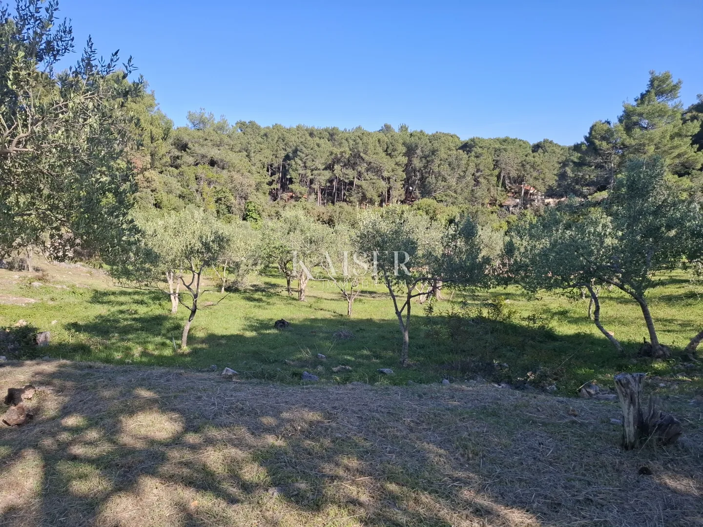 otok cres, punta križa, kuća 30 m2 sa 8.000 m2 terena - slika 5