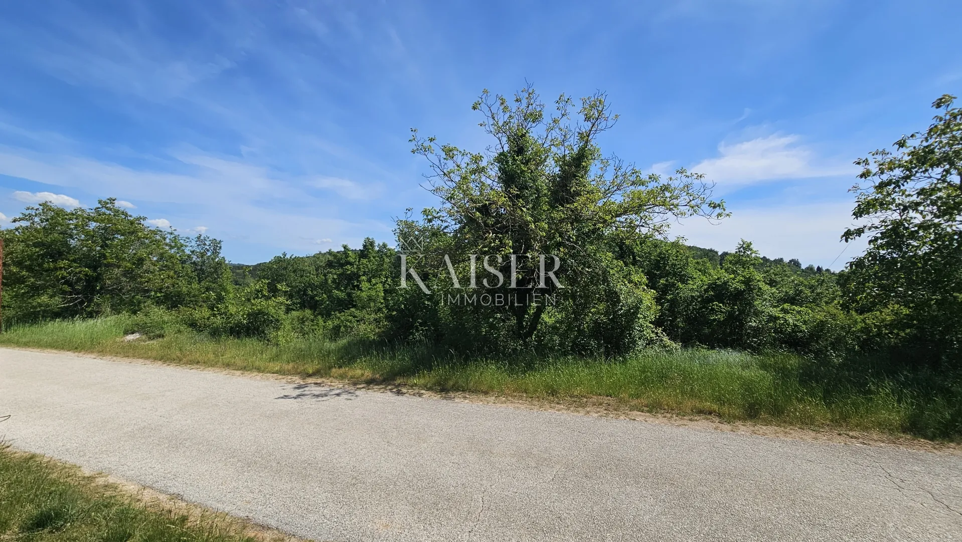 grožnjan, istra, okolica, prekrasno građevinsko zemljište za izgradnju vila sa bazenima - slika 2