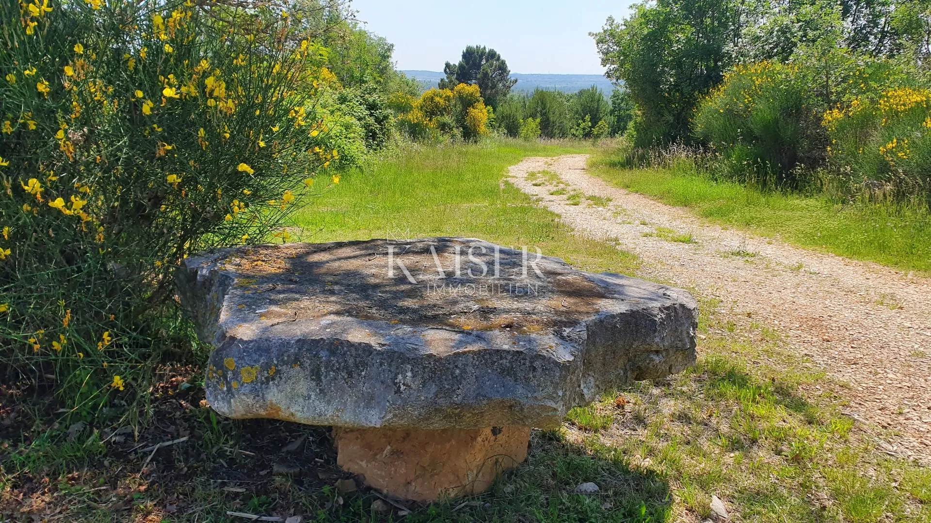 Istra - Kaštelir, poljoprivredno zemljište, šuma 8740 m2 - Kaštelir, Kaštelir - Labinci