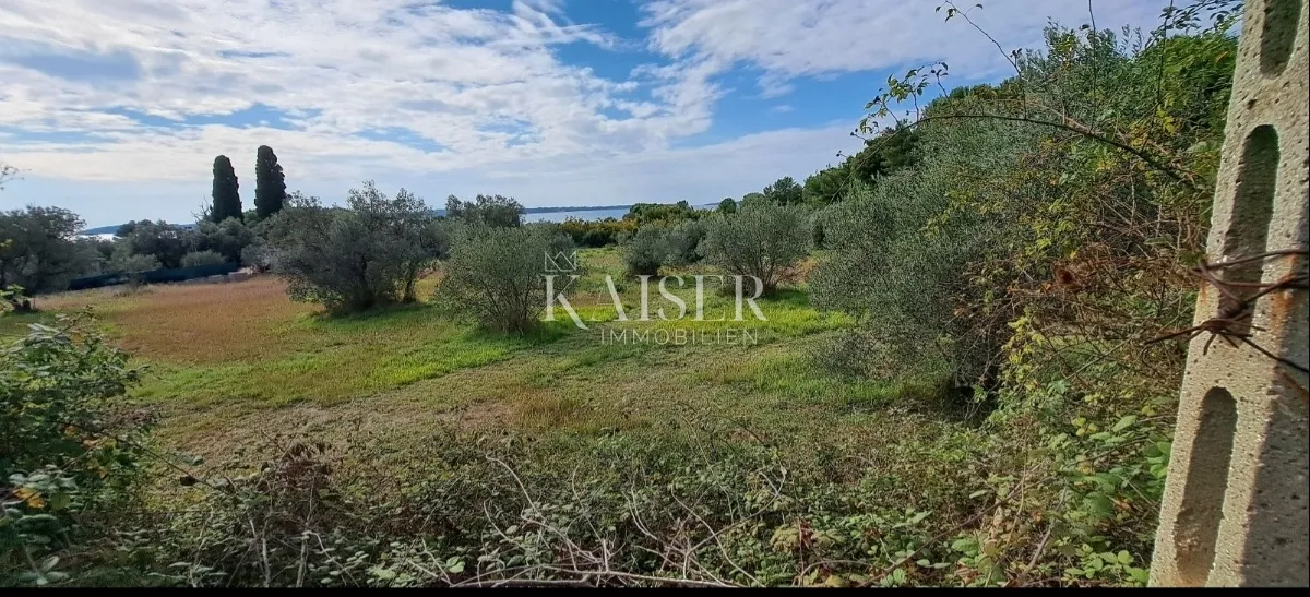 istra, fažana - poljoprivredno zemljište sa pogledom na more - slika 2