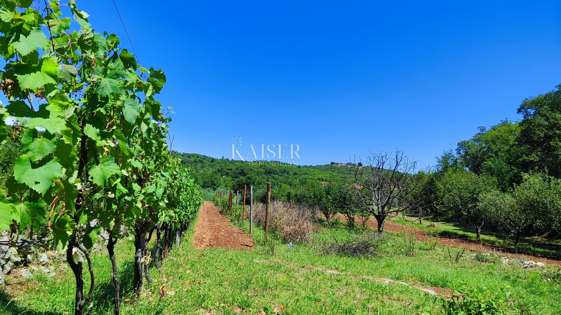labin - imanje s kućom, 28.000m2 - slika 2
