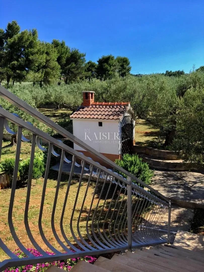 otok brač-prekrasna kamena kuća s pet apartmana, maslinikom i panoramskim pogledom na more - slika 6
