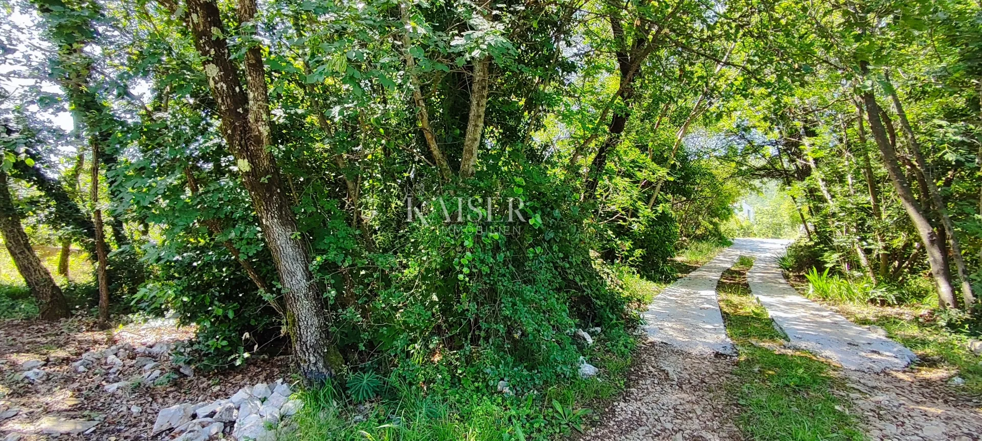 drenje - građevinsko zemljište okruženo zelenilom, 900 m2 - slika 4