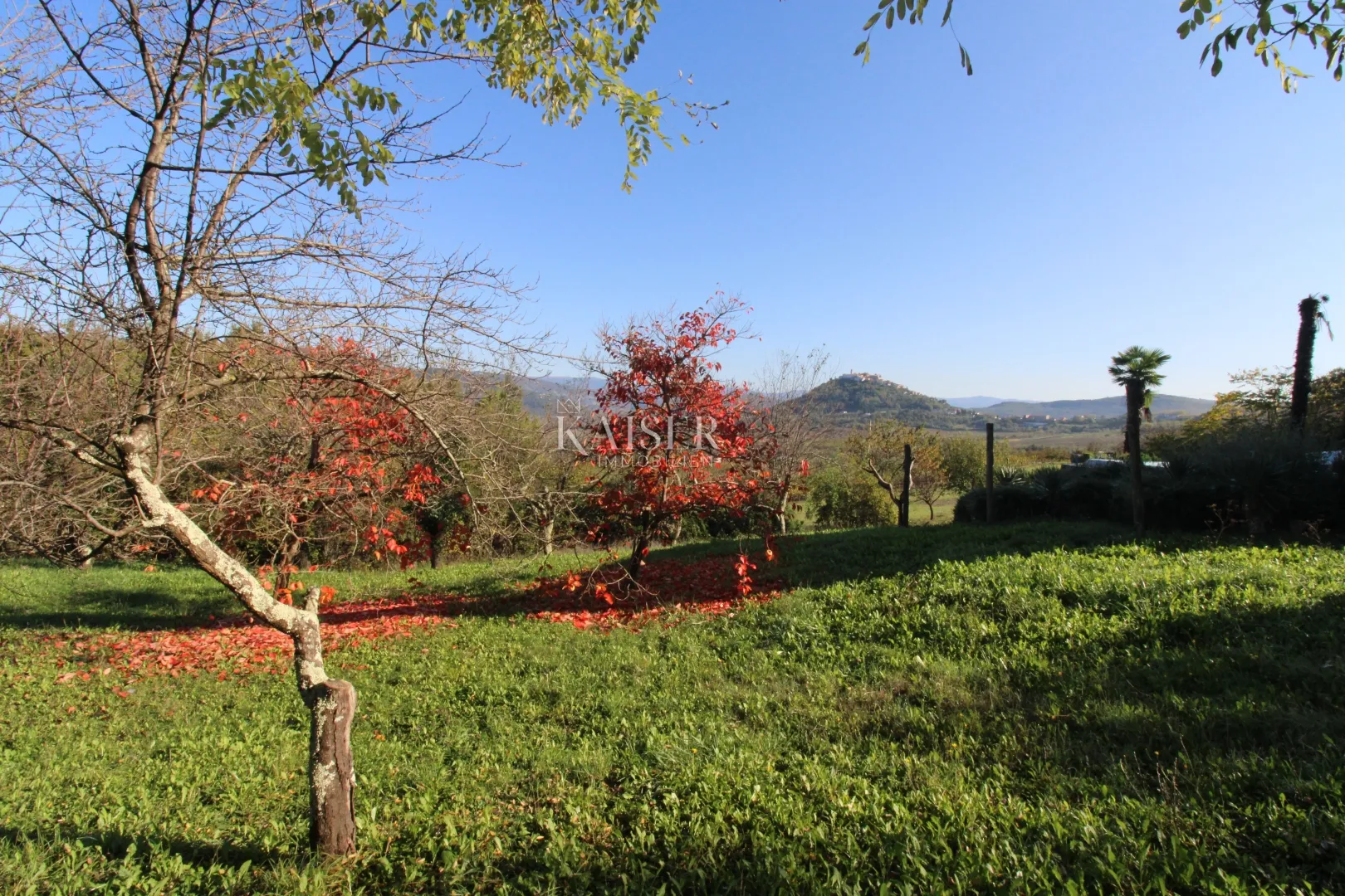 istra - motovun, poljoprivredno zemljište pogled motovun - slika 3