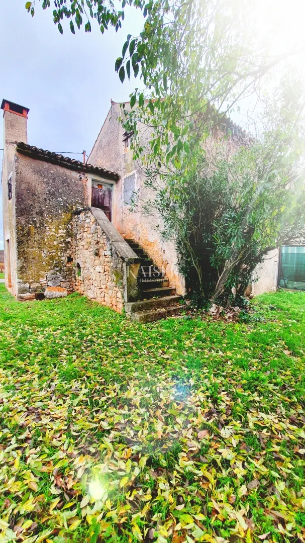 istra - višnjan, tri kamene kuće i zemljište 20.000 m2 - slika 5