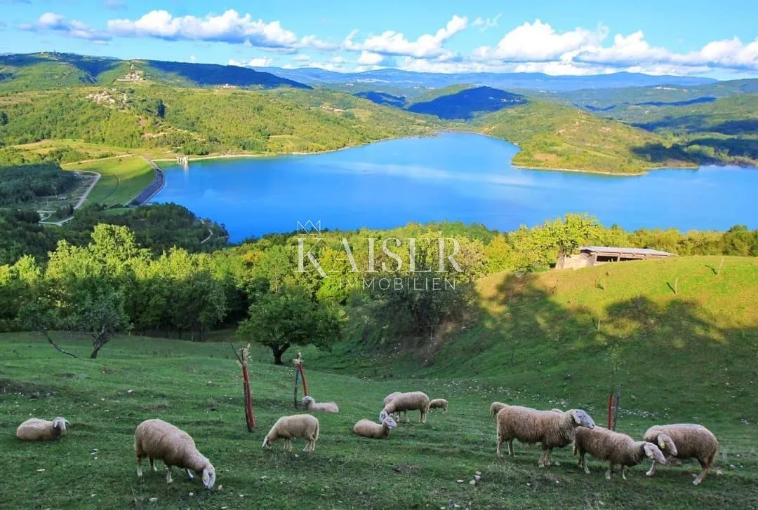 istra - pazin, poljoprivredno zemljište odličan pogled jezero butoniga - slika 2