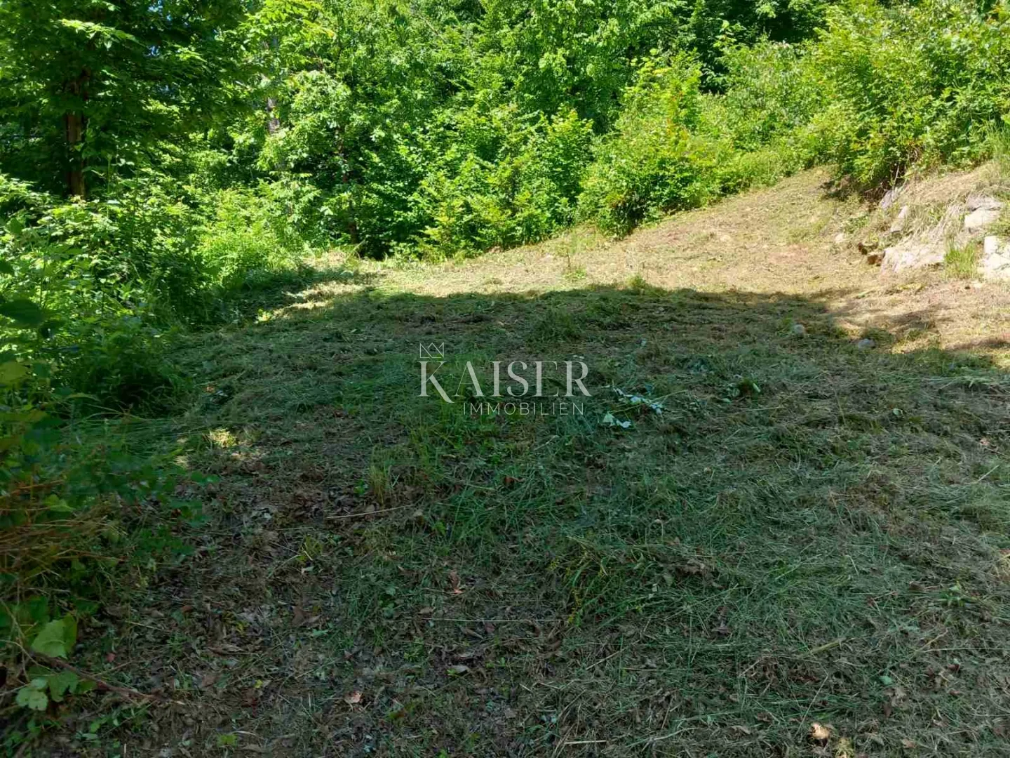 vrbovsko, kamensko, netaknuta priroda, zemljište 7176 m2 - slika 2