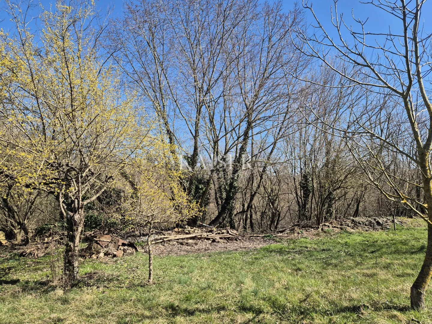 istra, pazin - poljoprivredno zemljište 13.513m2 - slika 2