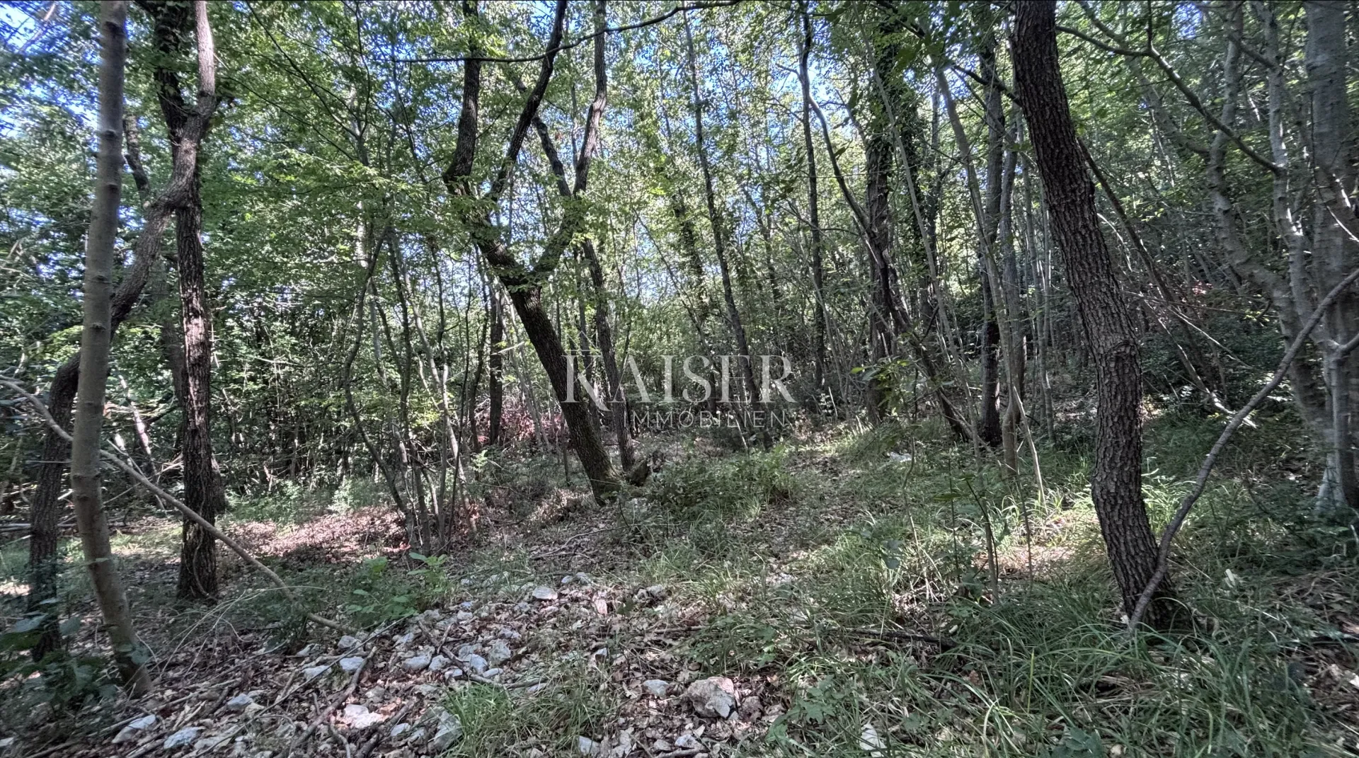 opatija, brseč - građevinsko zemljište, 1 286 m2, 2 km od plaže - slika 5
