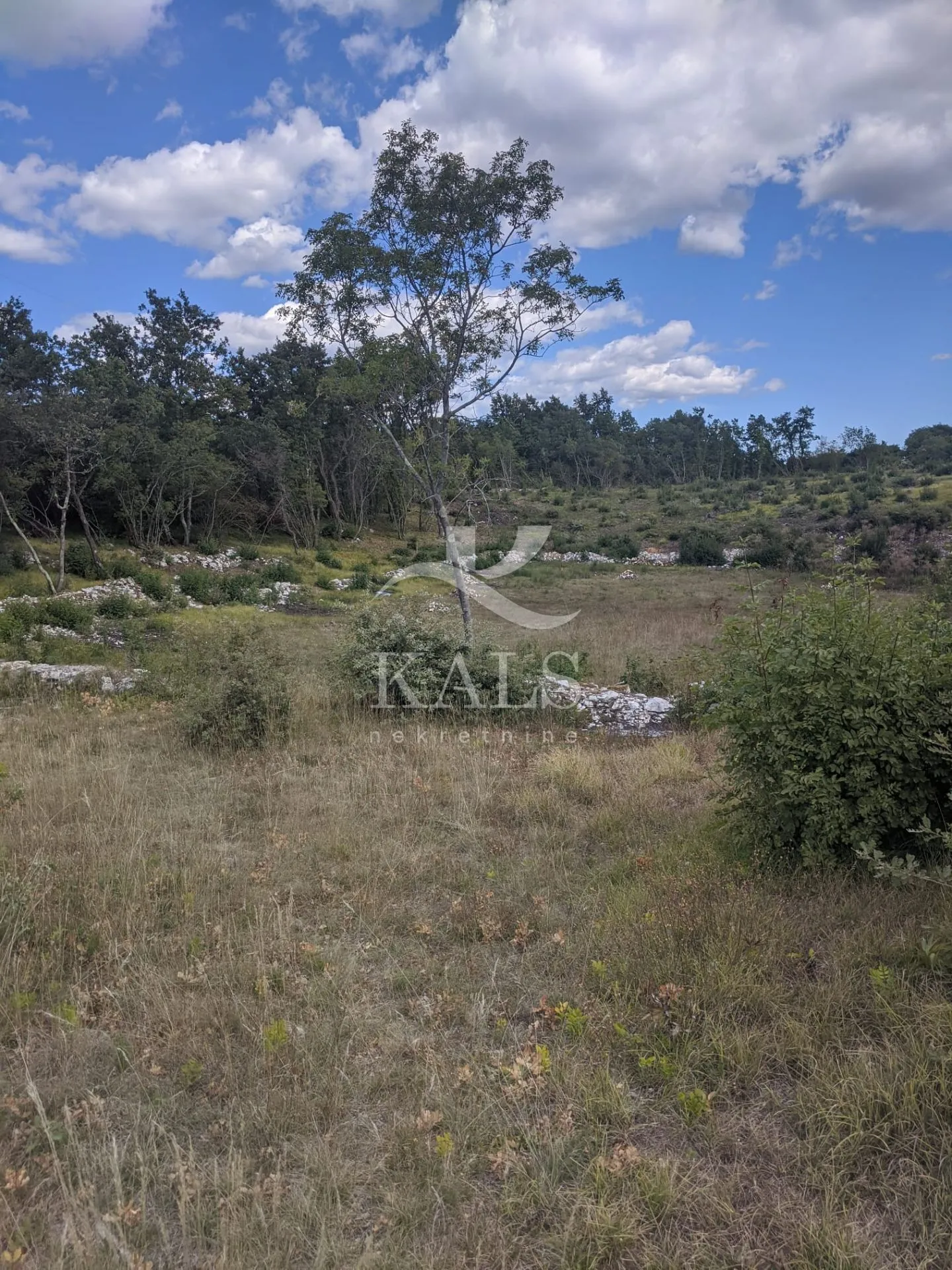 poljoprivredno zemljište, prodaja, marčana,filipana ,20.392m2 - slika 2