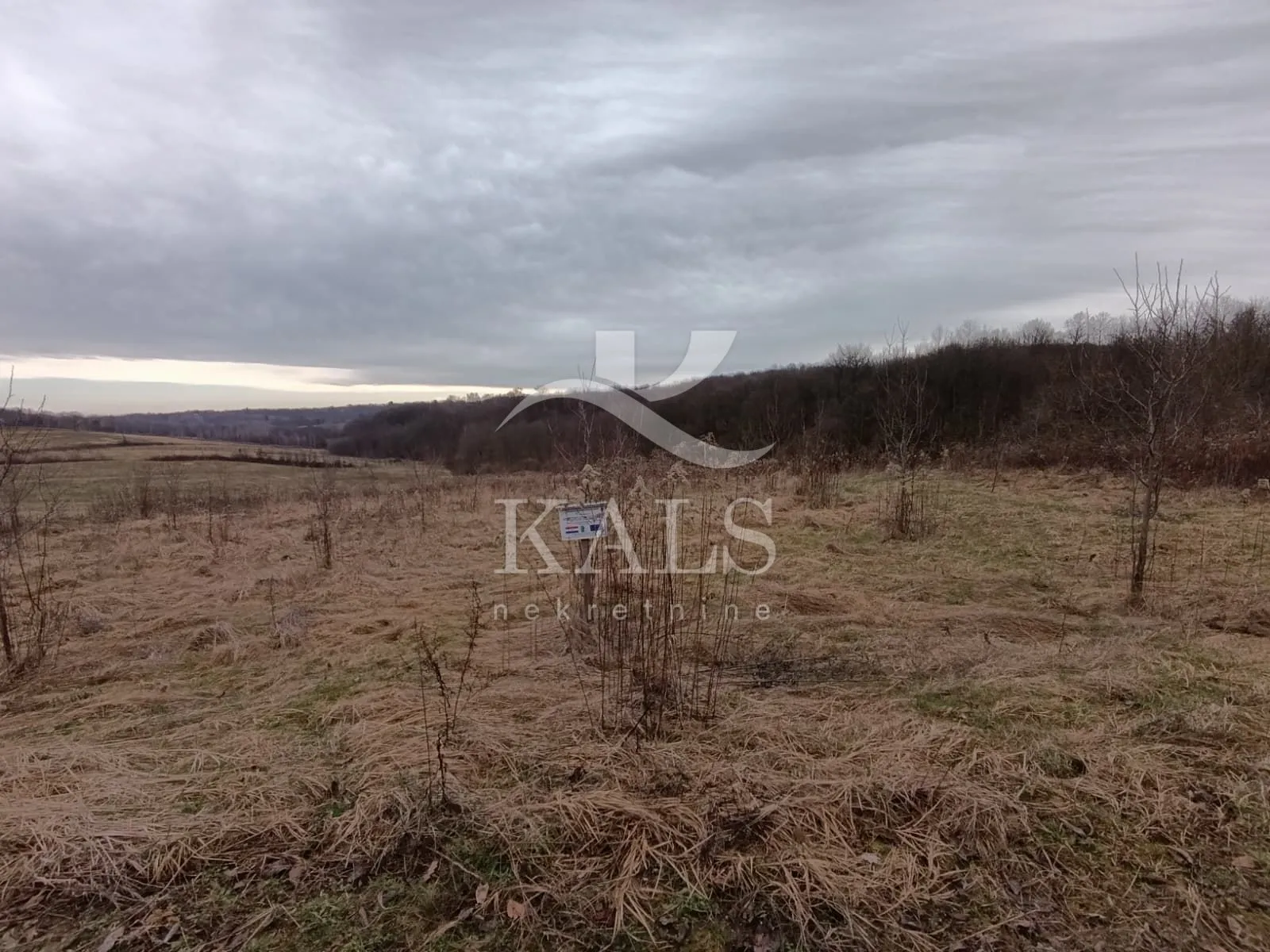kuća+zemljište+voćnjak,prodaja,brdo utinjsko,vojnić 367 m2+23694m2 - slika 4