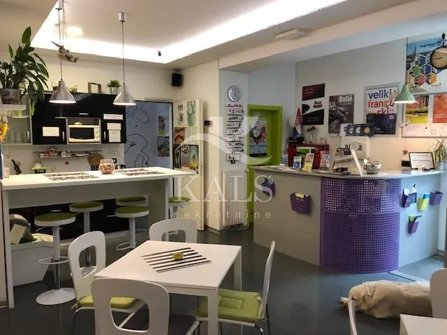 POSLOVNI PROSTOR, PRODAJA, ZAGREB, DONJI GRAD,200 m2