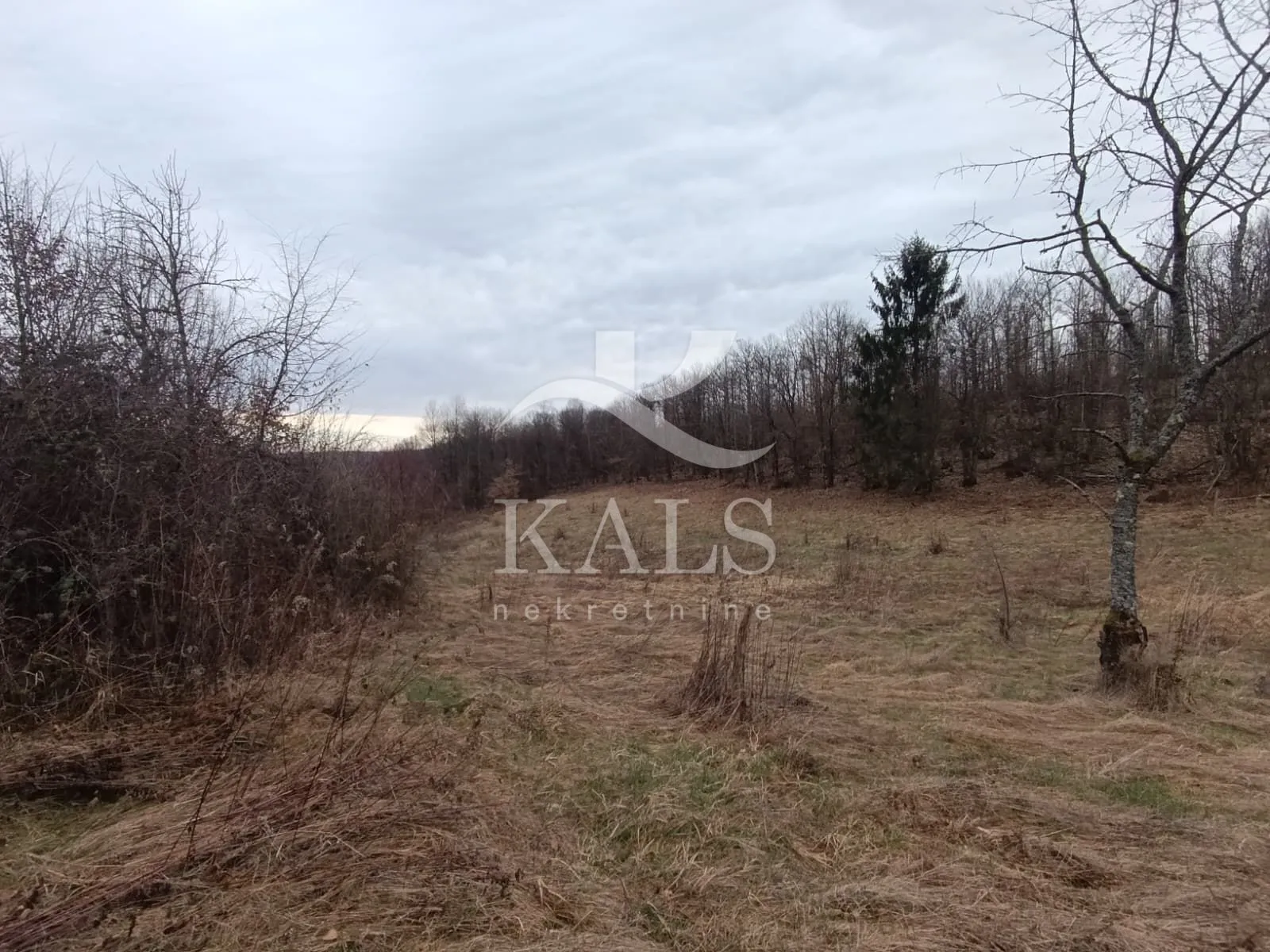kuća+zemljište+voćnjak,prodaja,brdo utinjsko,vojnić 367 m2+23694m2 - slika 6