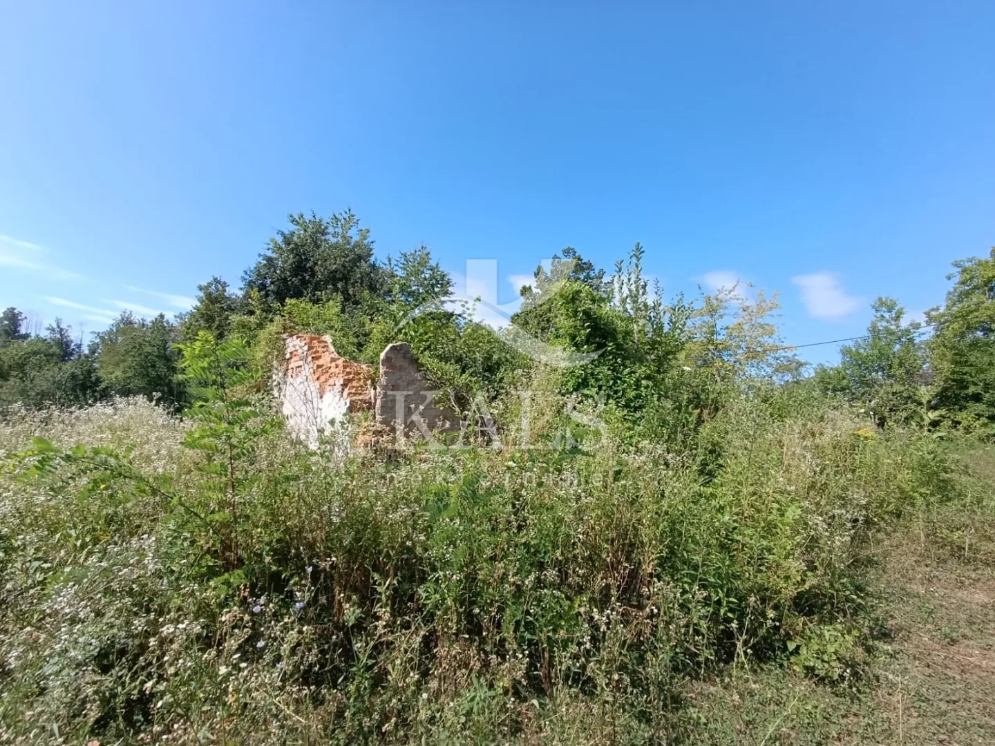kuća za adaptaciju+zemljište, prodaja,karlovac,trebinja, 458m2+23068m2 - slika 7