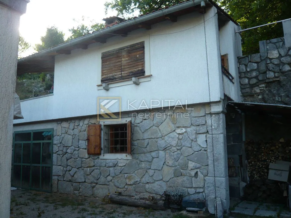 rukavac, kuća s p.p. na 6.000 m2 terena - slika 3