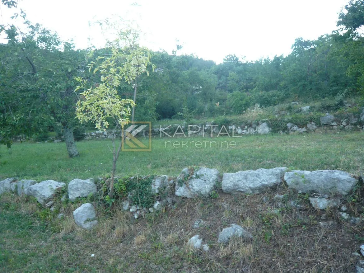 rukavac, kuća s p.p. na 6.000 m2 terena - slika 2