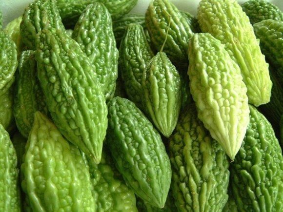 KARELA-gorka dinja AKCIJA 11.95e /kg