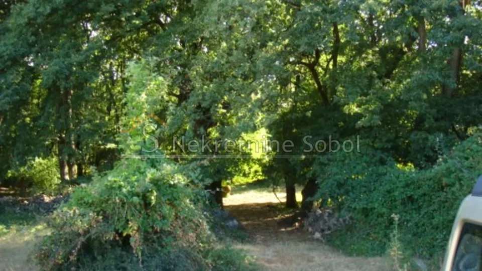 cres, beli - kuća, 567 m2 prodaja - slika 8