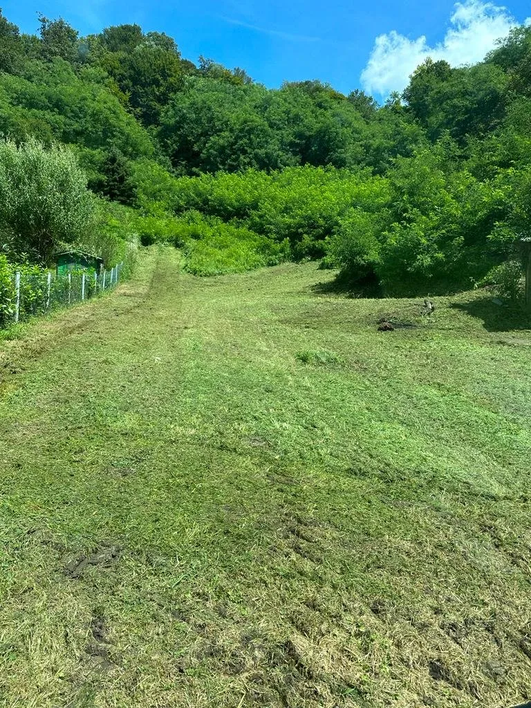 radakovo, 8.761 m² - mogućnost prenamjene - slika 3