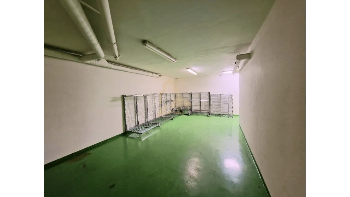 dvoetažni poslovni prostor, 167m2, na trgiću u španskom - slika 6