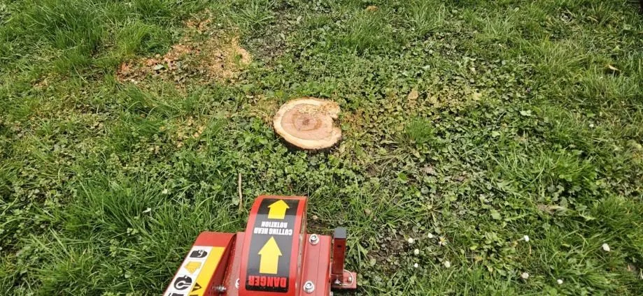 košnja travnjaka zagreb – profesionalno održavanje za tvrtke | teren - slika 14