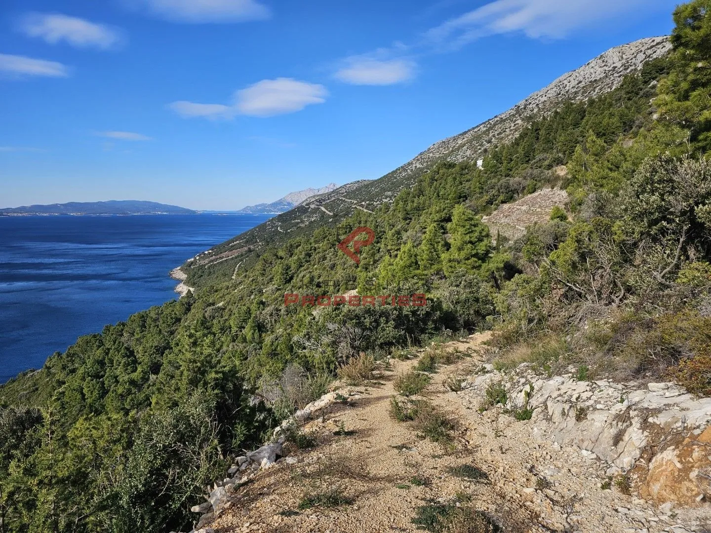poljoprivredno zemljište, prvi red do mora-dingač,pelješac - slika 2